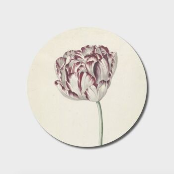 Cercle mural | tulipe droite