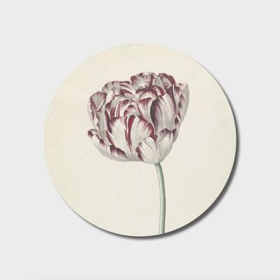 Círculo de pared | tulipán recto