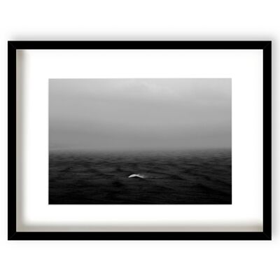 Rouge Wave - White Frame - 577