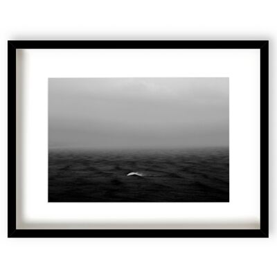 Rouge Wave - Natural Frame - 578