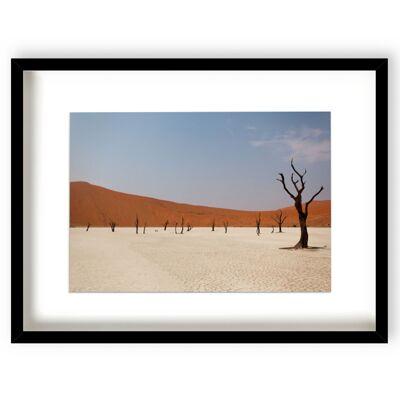 Deadvlei II - Black Frame - 705