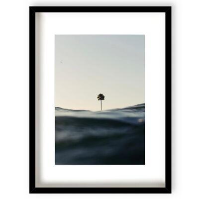 Wedge Palm - White Frame - 1371