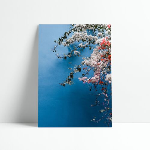 Affiche 30x40 cm –  BOUGAINVILLEA N.1