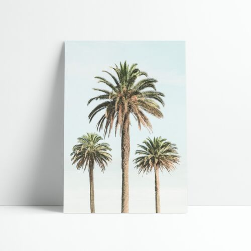 Affiche 30x40 cm –  3 palmiers Vintage