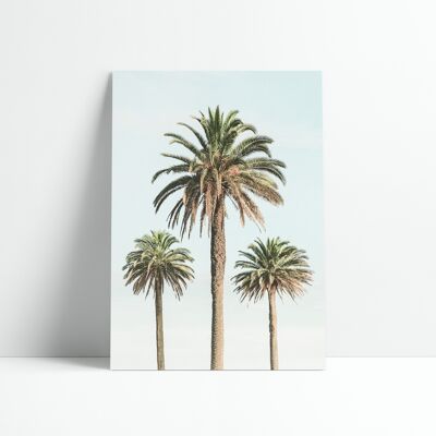 Poster 30x40 cm - 3 palme vintage