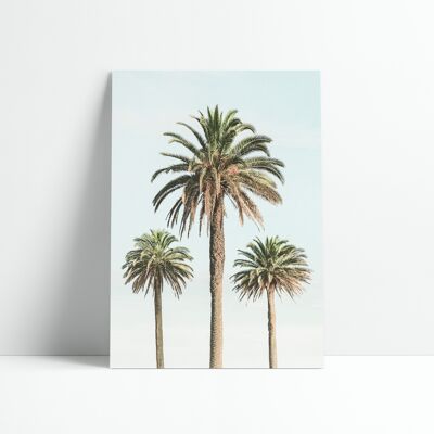 Poster 30x40 cm - 3 vintage palm trees