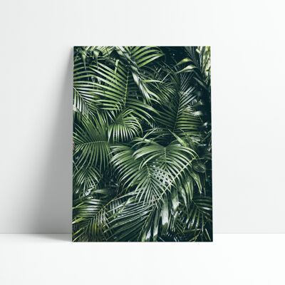 Affiche 30x40 cm –  GREEN LEAVES