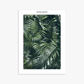 Affiche 30x40 cm –  GREEN LEAVES 2