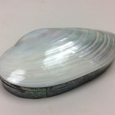 Shell box mother of pearl white 25 cm for jewelery, for example