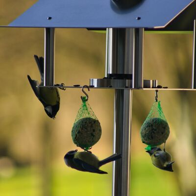 Comedero para pájaros de pie de acero inoxidable con soporte