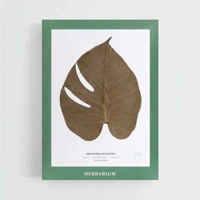 MONSTERA 21X30 CM - BORSA