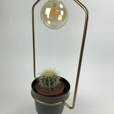 Hermosa lámpara colgante robusta de metal con brillo dorado 7