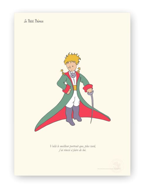 Affiche Petit Prince - Portrait - 40x50