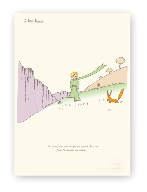 Affiche Petit Prince - Unique au monde - 30x40