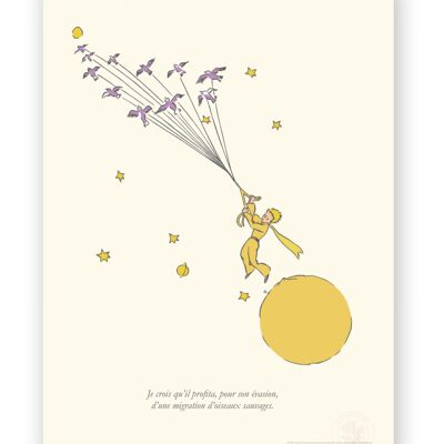 Affiche Petit Prince - Evasion - 30x40