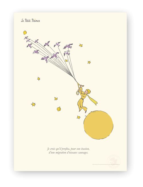 Affiche Petit Prince - Evasion - 50x70 en tube