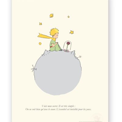 Affiche Petit Prince - Secret sur Planète - 30x40