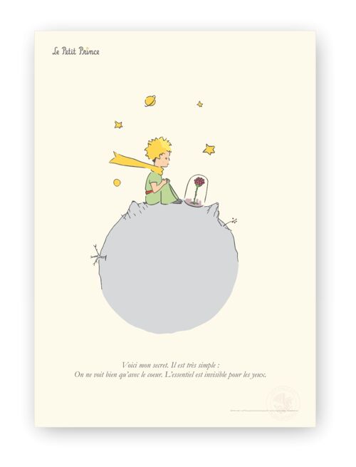 Affiche Petit Prince - Secret sur Planète - 50x70 en tube