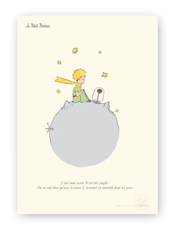 Affiche Petit Prince - Secret sur Planète - 50x70 en tube