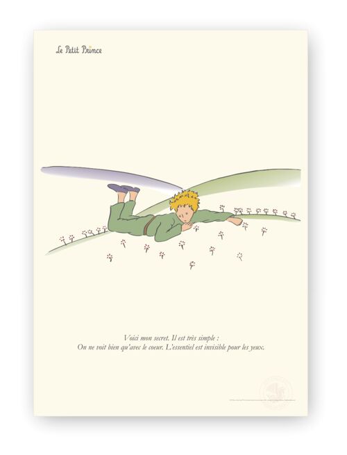 Affiche Petit Prince - Secret allongé - 40x50