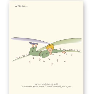 Affiche Petit Prince - Secret allongé - 40x50