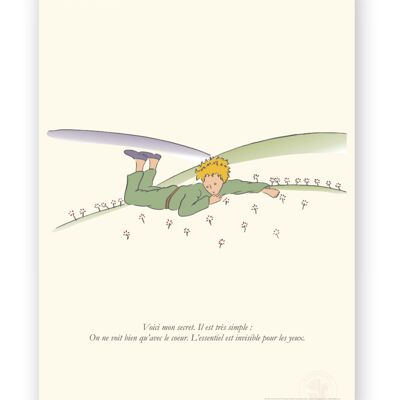 Affiche Petit Prince - Secret allongé - 60x80 en tube
