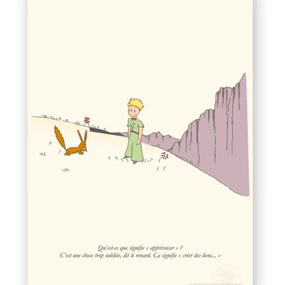 Affiche Petit Prince - Apprivoiser - 30x40