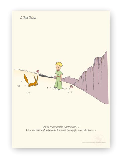 Affiche Petit Prince - Apprivoiser - 60x80 en tube