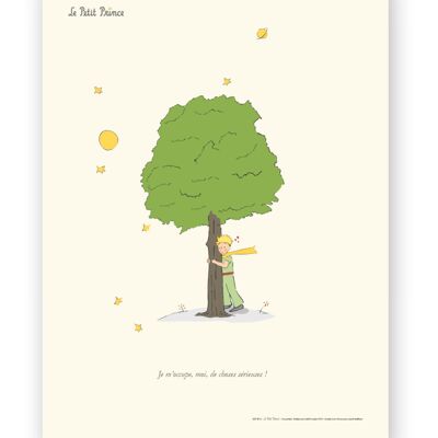 Affiche Petit Prince - Petit Prince Arbre - 50x70 en tube