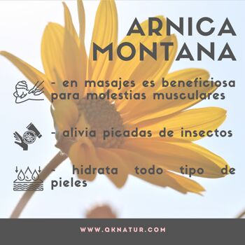 ARNICA - Macérat Huile Arnica Montana 100% Pure - BIO - Bio - Végétal 250ml 5