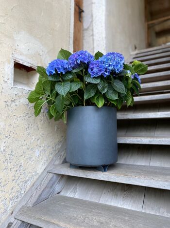 terraced® - soucoupe pour pot de fleurs - couleur : terre cuite 3