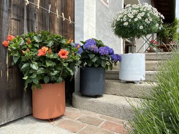 terraced® - soucoupe pour pot de fleurs - couleur : turquoise 4