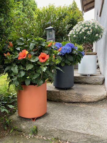 terraced® - soucoupe pour pot de fleurs - couleur : turquoise 9