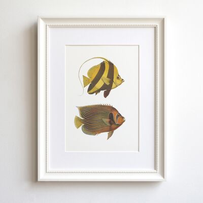 Yellow fish A5 size art print, tropical sea life wall art