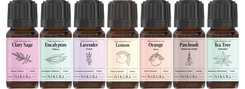 Selection of Favourites - Gift Set - 7 x 10ml Essential Oils - Without Box