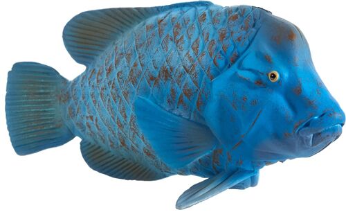 Mojo Sealife speelgoed Blauwe Groper - 387356