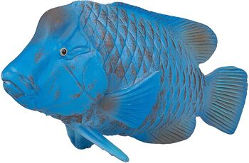 Jouet Mojo Sealife Blue Groper - 387356 2