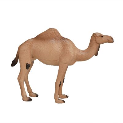 Mojo Wildlife giocattolo cammello arabo - 387113