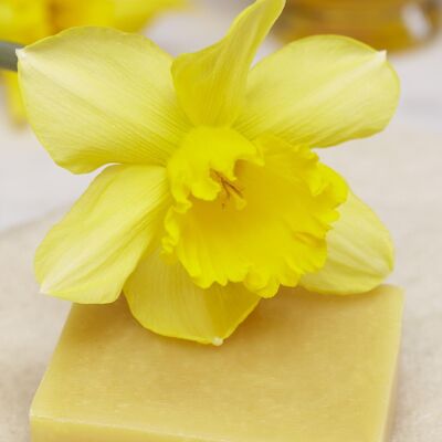 Daffodil Soap