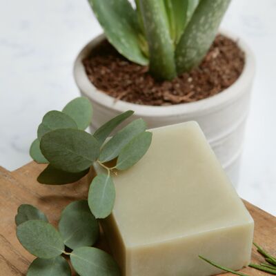 Aloe Vera Soap