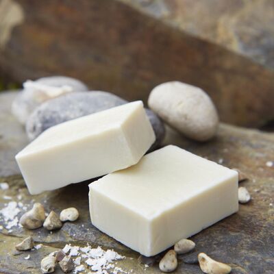 Seaweed & Sea Salt Soap Guest Bar