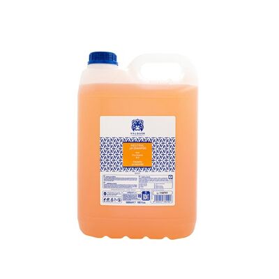 Valquer champu melon sin sal 5000 ml