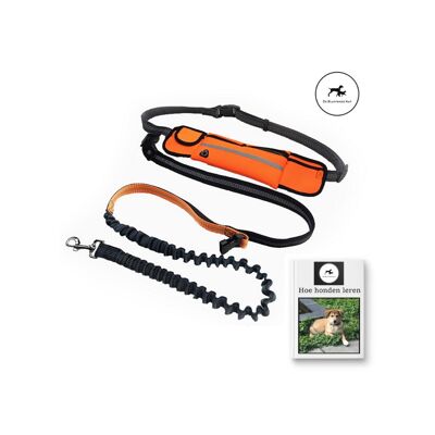 Laisse Mains Libres pour Chien Orange