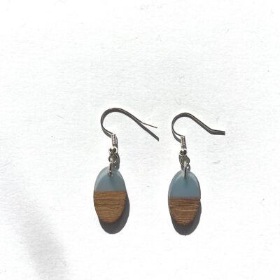 Pale blue resin and wood oval edge earrings