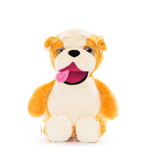 Signature Bulldog *FINAL SALE*