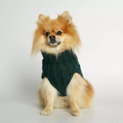 Suéter de invierno para perro de lana de merino y cachemira de John B. Green