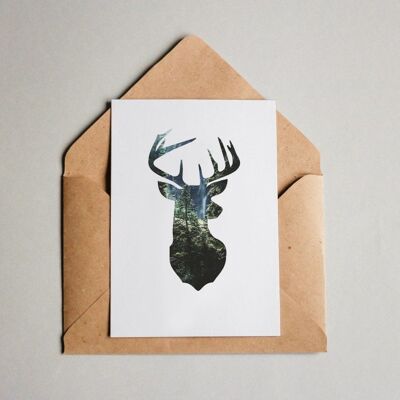 Postcard forest deer