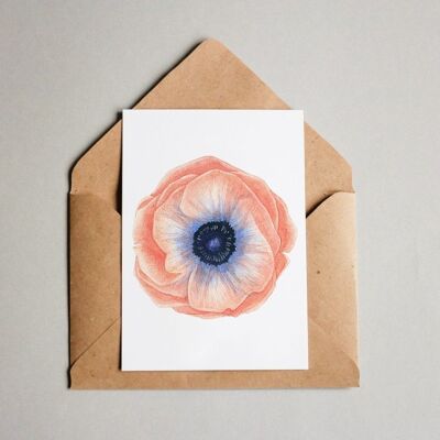 Postcard anemone