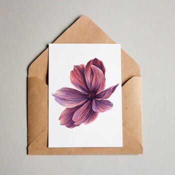 Cartes Postales Magnolia Rouge 1