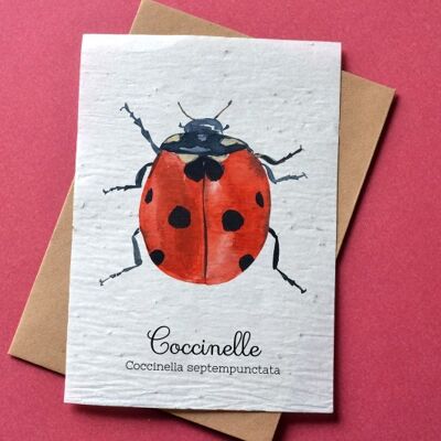 Ladybug plantable card